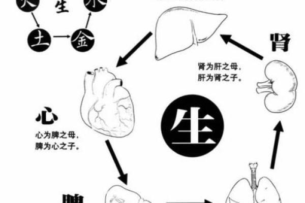 探究‘好’字在五行学说中的属性与影响